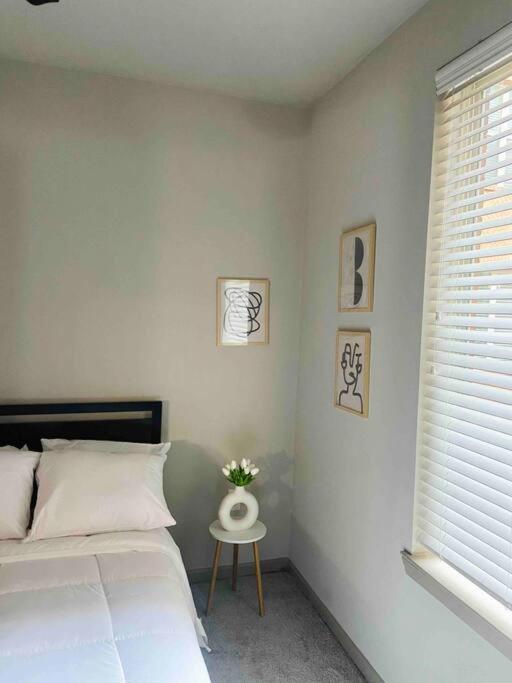 Downtown Luxury With Free Parking Space *