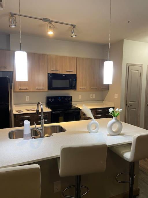 Apartment Downtown Luxury With Free Parking Space *